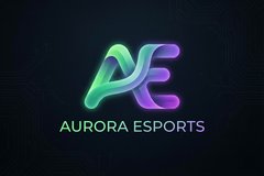 海角合作品牌极光电竞